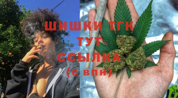 mdpv Каменка