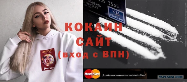 mdpv Каменка