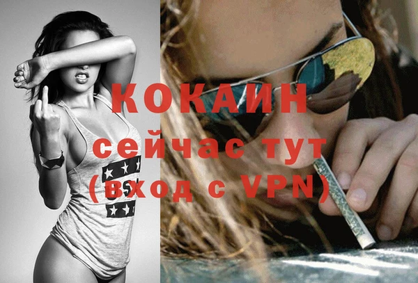 кокс Каменногорск