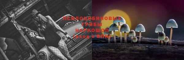 прущий лед Каменск-Шахтинский