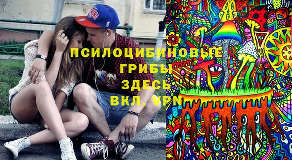 твердый Касимов